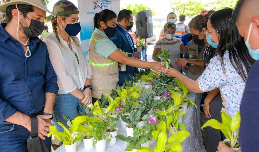 Plan de Arborización busca plantar 4 mil nuevos árboles en Guayaquil