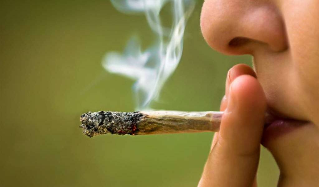 Senado de Canadá aprueba ley que legaliza marihuana