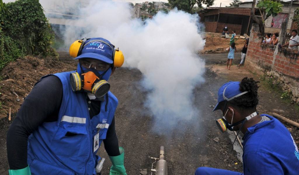 COVID-19 en Ecuador: 30.502 contagiados, 2.338 muertos y 1.561 fallecidos probables por el virus