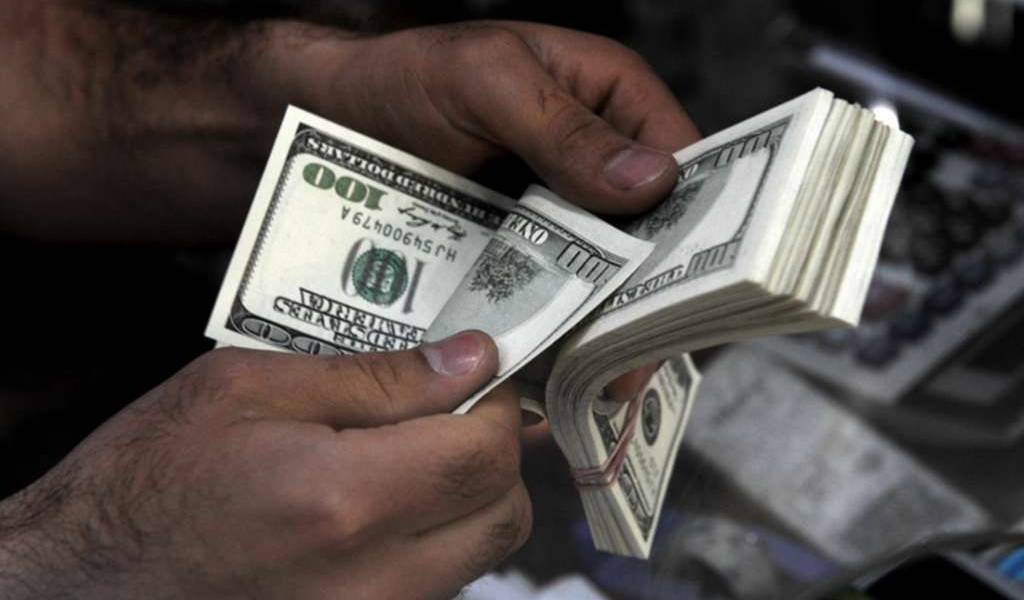 Palo, uno de los términos sobre aportes &#039;Verde final&#039;