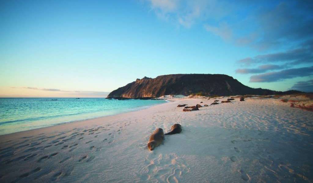 Unesco amplía la reserva de la biósfera de Galápagos