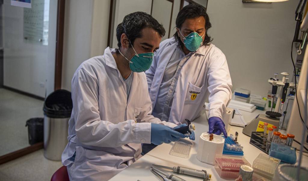 COVID-19: crece demanda de pruebas en laboratorios en Quito