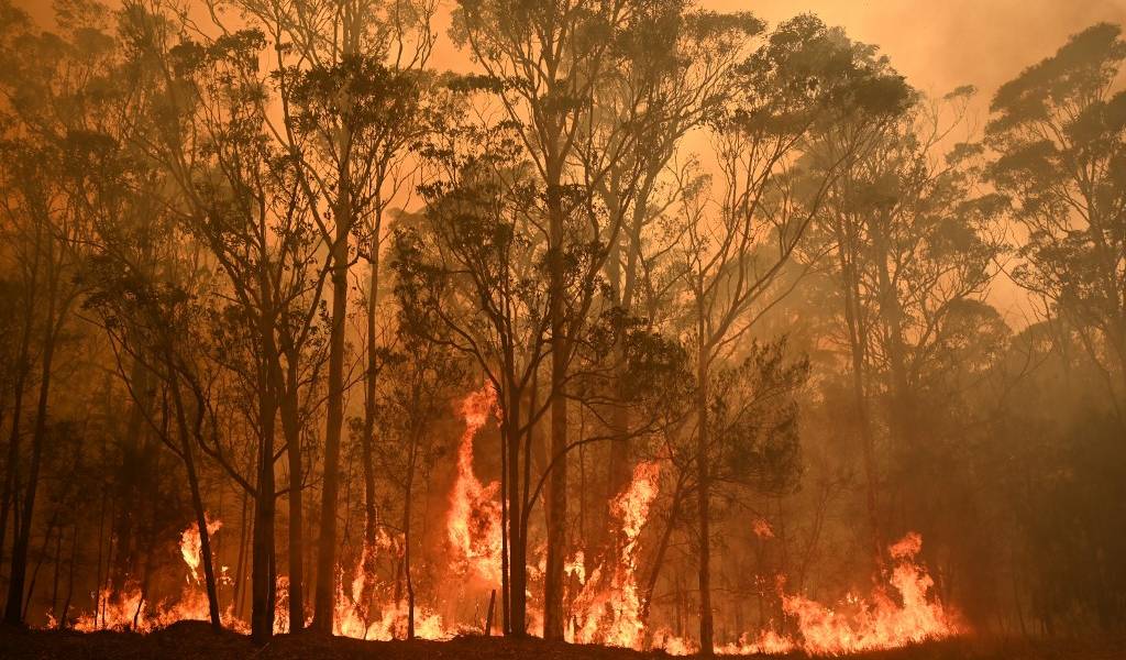 Humo de incendios forestales en Australia llega a Chile y Argentina