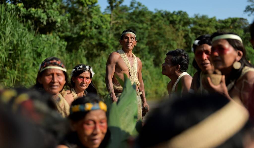Piden mantener aislamiento en Amazonía de Ecuador para proteger a indígenas