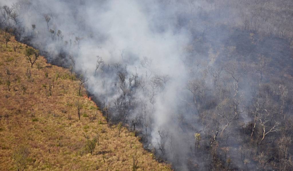Incendios en Bolivia consumen 2 millones de hectáreas