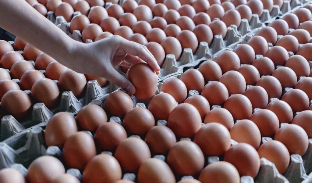 Ecuador celebra el Día Nacional del Huevo