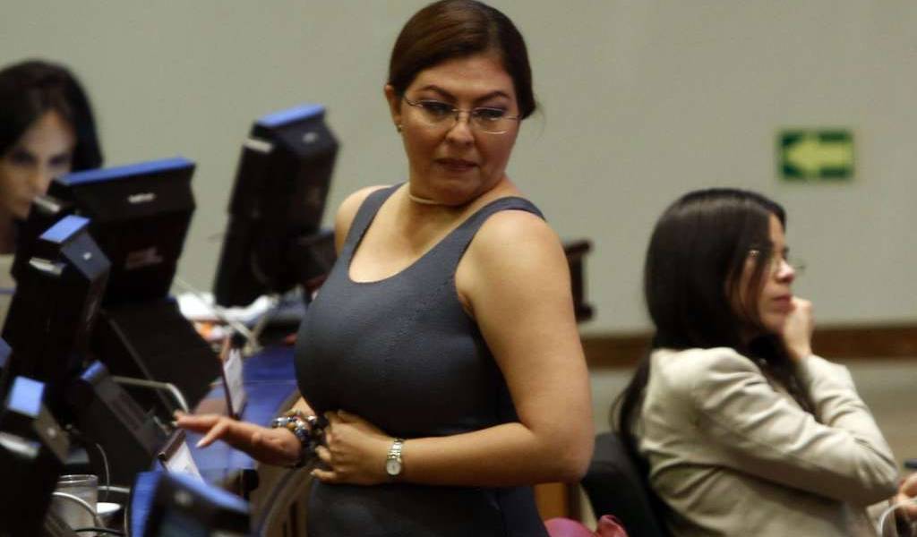 Asamblea designa comisión que investigará a Sofía Espín