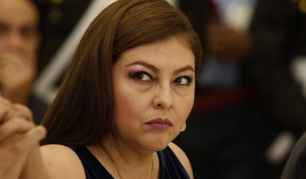 Espín plantea medidas cautelares contra comisión