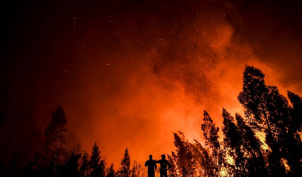 Bomberos luchan contra un gran incendio en Portugal