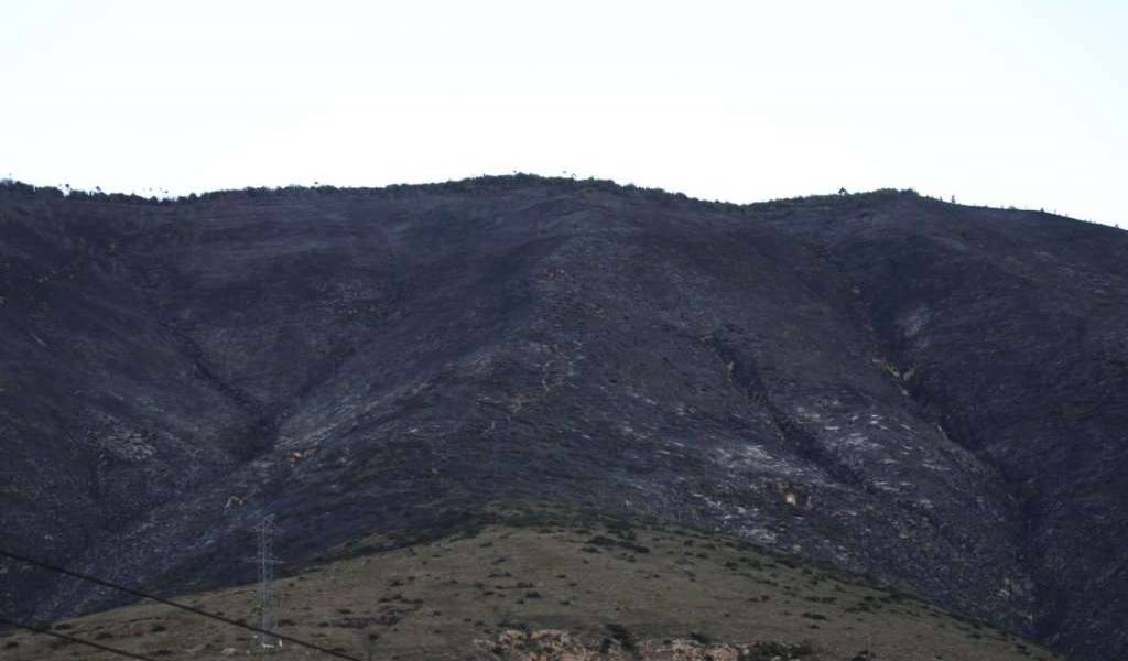 Incendio forestal en el cerro Casitagua fue controlado