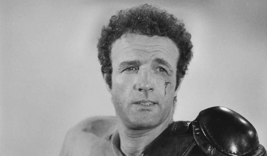 Adiós a James Caan de 'El Padrino': Sus inicios y pasos por el cine