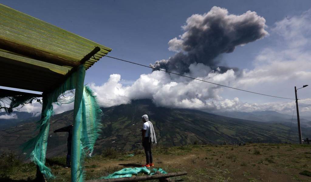 Polvo volcánico afecta cultivo y ganado en Chimborazo