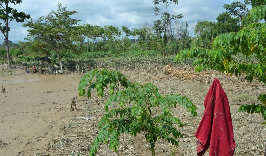 Correa prevé fenómeno de El Niño menos fuerte que el de 1997