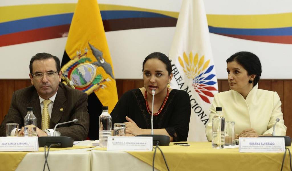 La estrategia de Alianza PAIS para aprobar las enmiendas constitucionales en la Asamblea Nacional