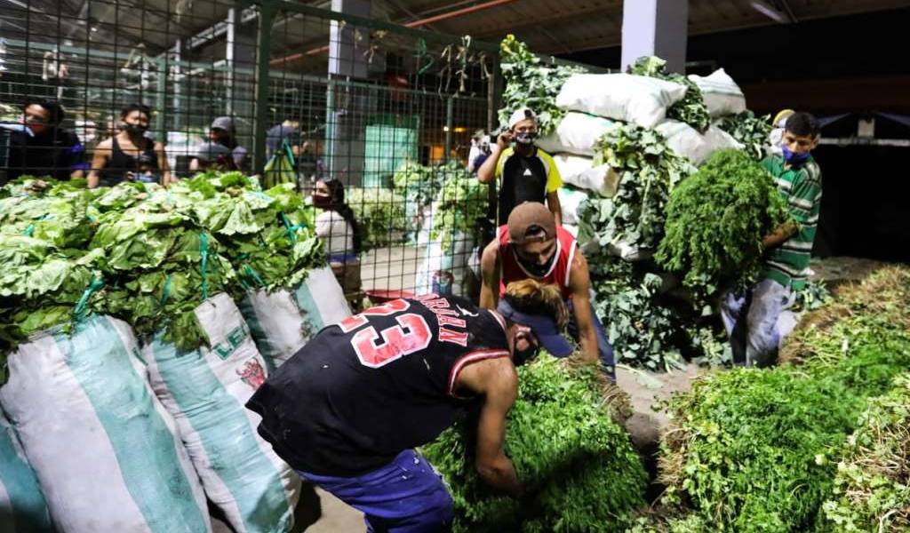 Nueve camiones con productos agrícolas llegan a Guayaquil