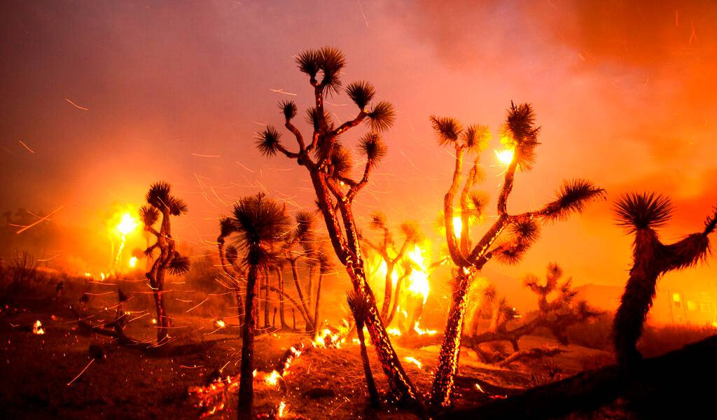 Vientos empujan incendios hacia zona desértica en California