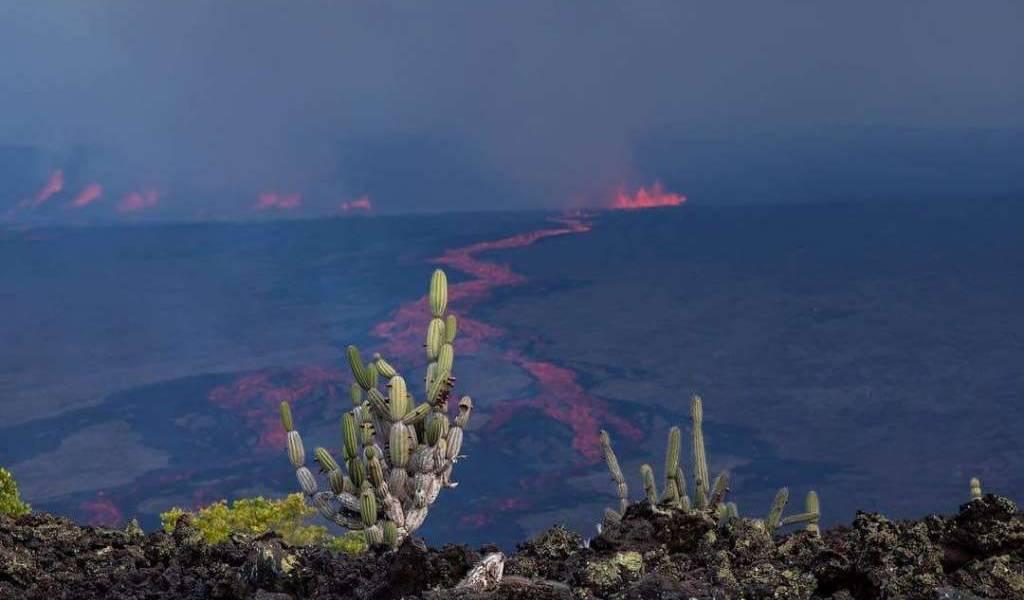 Evacuados retornarán a sus hogares en Galápagos