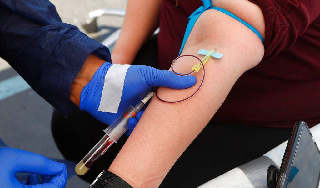 COVID-19: estudio señala que anticuerpos duran al menos 4 meses