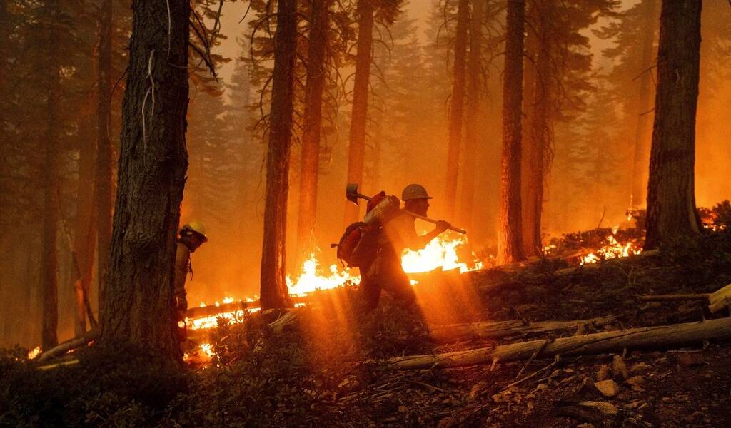Miles de evacuados por 22 incendios que se propagan en California