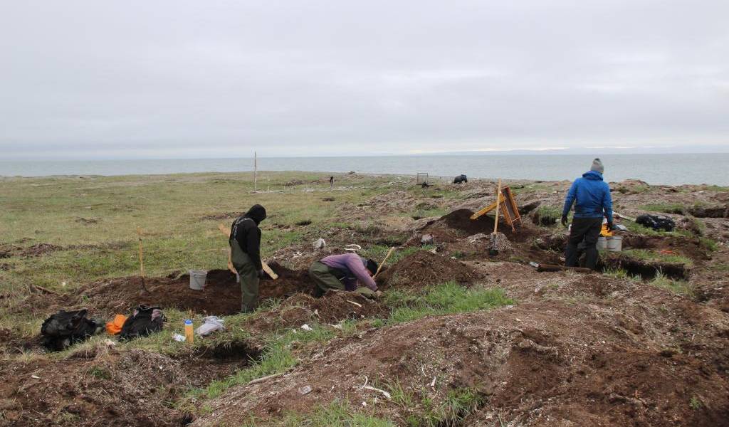 Esqueletos de bebés revelan ritos funerarios de hace 11.500 años en Alaska