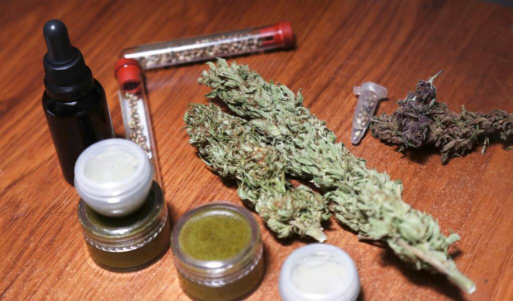 Ecuador, a punto de legalizar cannabis medicinal