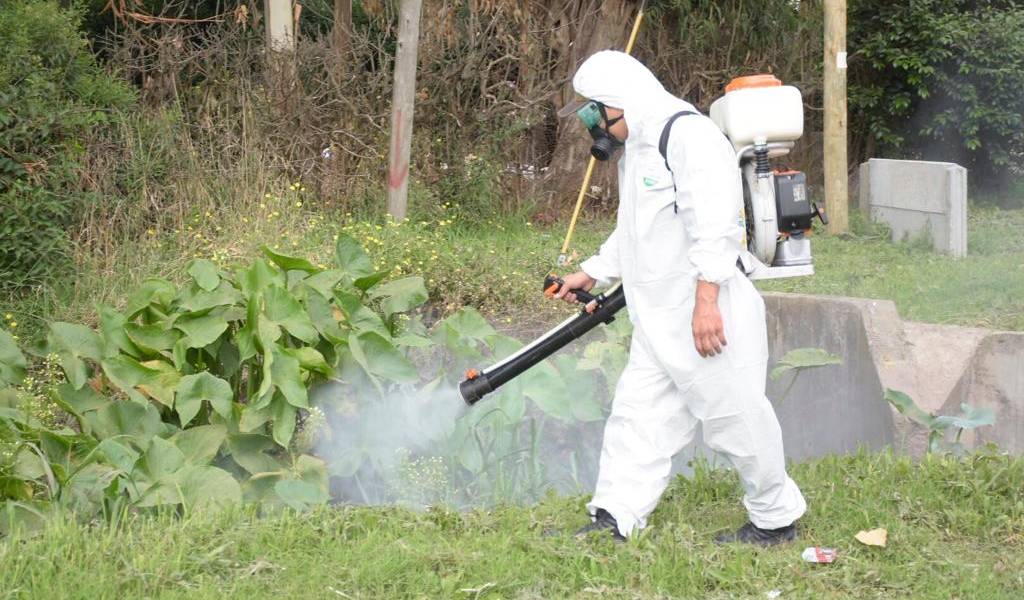 El dengue se suma a la pandemia del COVID-19 en Ecuador
