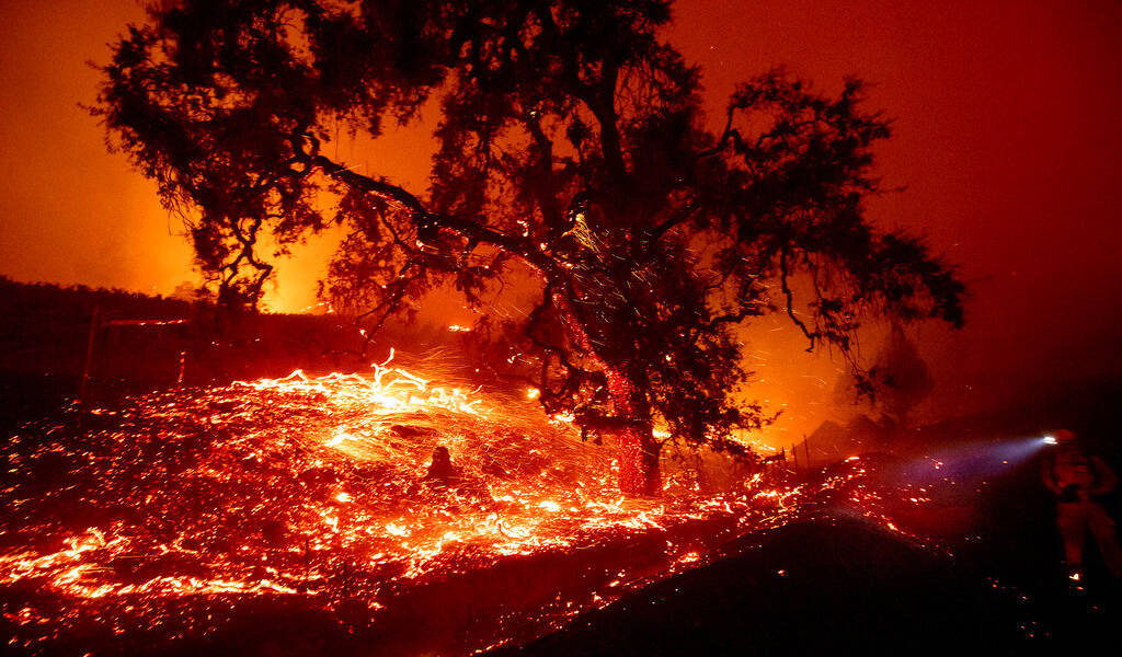 California en estado de emergencia por incendio forestal