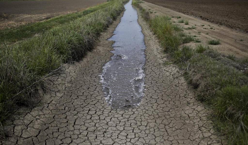 California restringe el agua a los agricultores