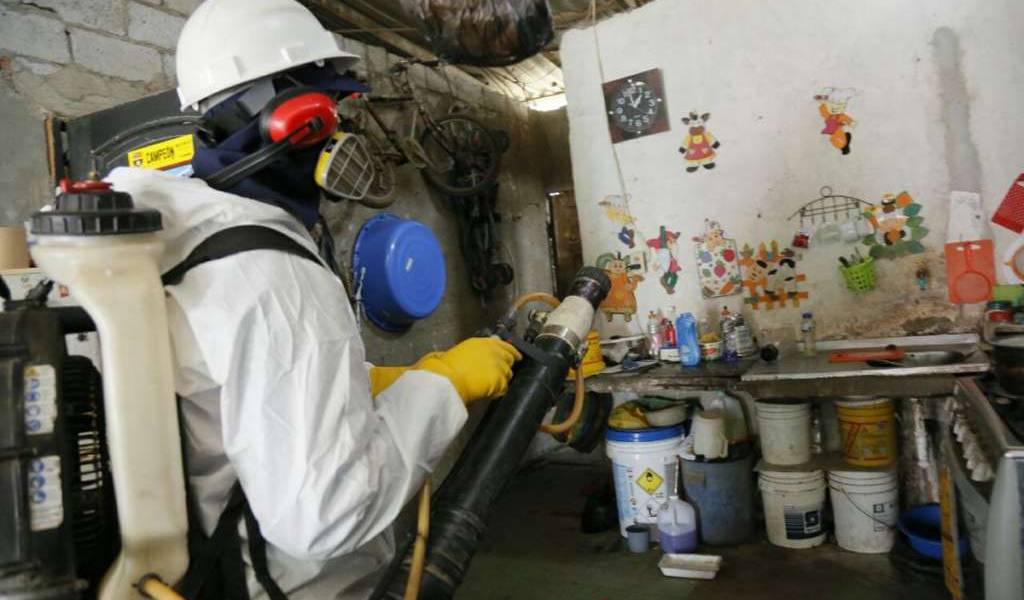 Casos de dengue superan los 700 en Ecuador, según la ministra de Salud Espinosa