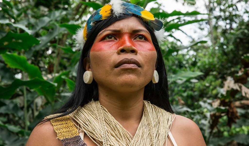 Nemonte Nenquimo, la guardiana de la selva ecuatoriana