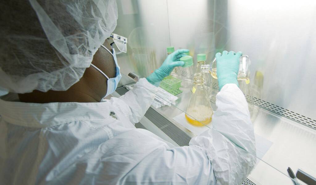 Ensayan anticuerpos para tratamiento de COVID-19