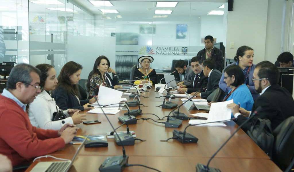 Comisión trata proyecto para reformar proceso de adopciones