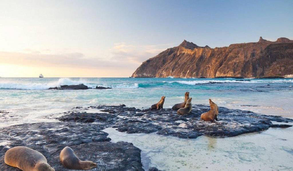 Lasso establece el viernes nueva reserva en Galápagos junto a Duque y Clinton