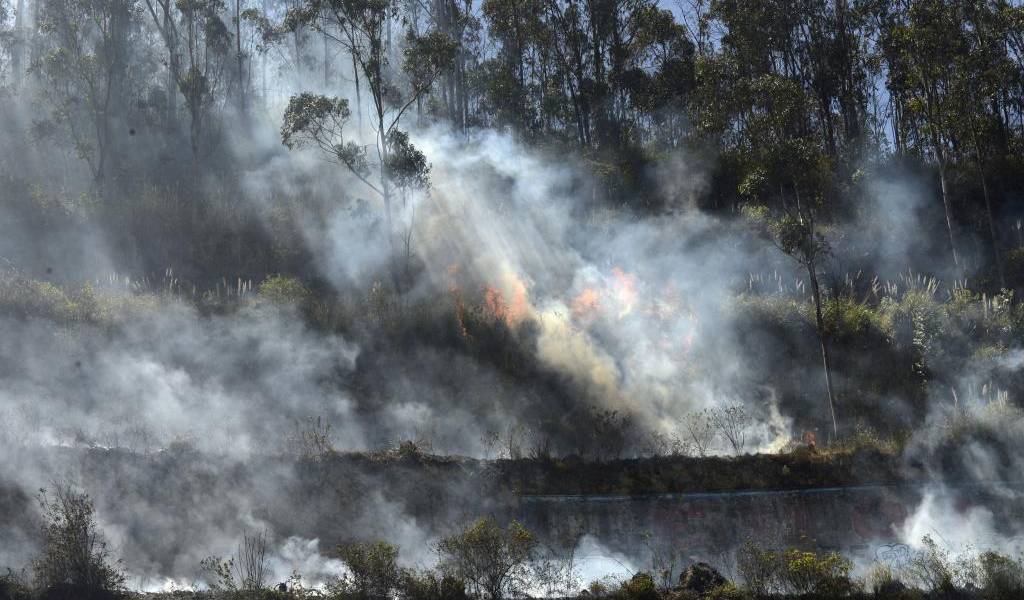 Incendios forestales provocados por actividades humanas no cesan