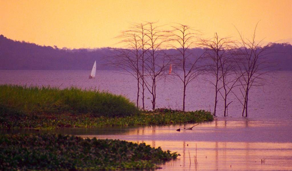 Parque Lago: naturaleza, deporte y familia en Guayaquil