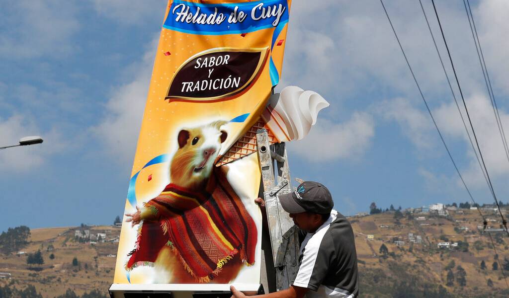 ¿Un heladito? En Ecuador hay sabores de cuy y escarabajo