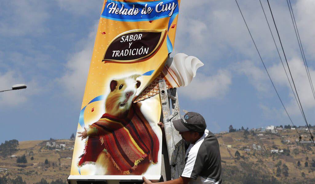 ¿Un heladito? En Ecuador hay sabores de cuy y escarabajo