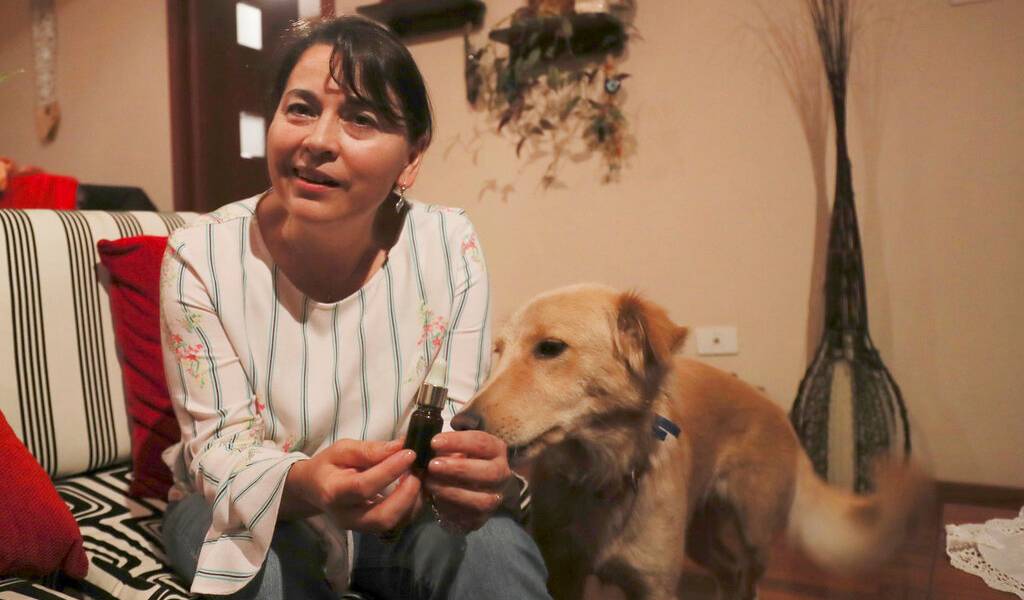 Ecuador, a punto de legalizar cannabis medicinal