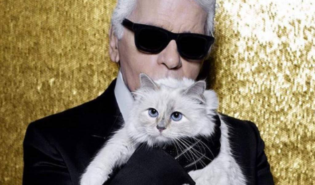 La gata que heredará parte de los $200 millones de Lagerfeld