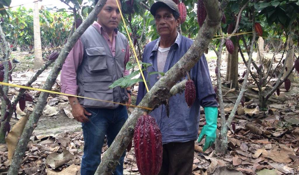 Ecuador Sobre Ruedas: Conozca al &#039;Señor del Gran Cacao&#039;