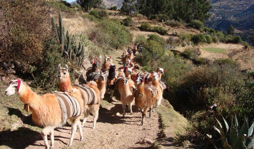 La Ruta Inka recorrerá el Qhapaq Ñan entre Bolivia y Perú en 2015
