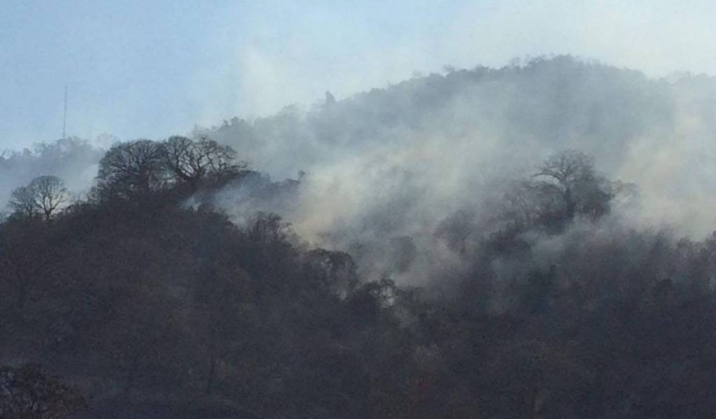 Quema de maleza desata incendio forestal en cerro Mapasingue
