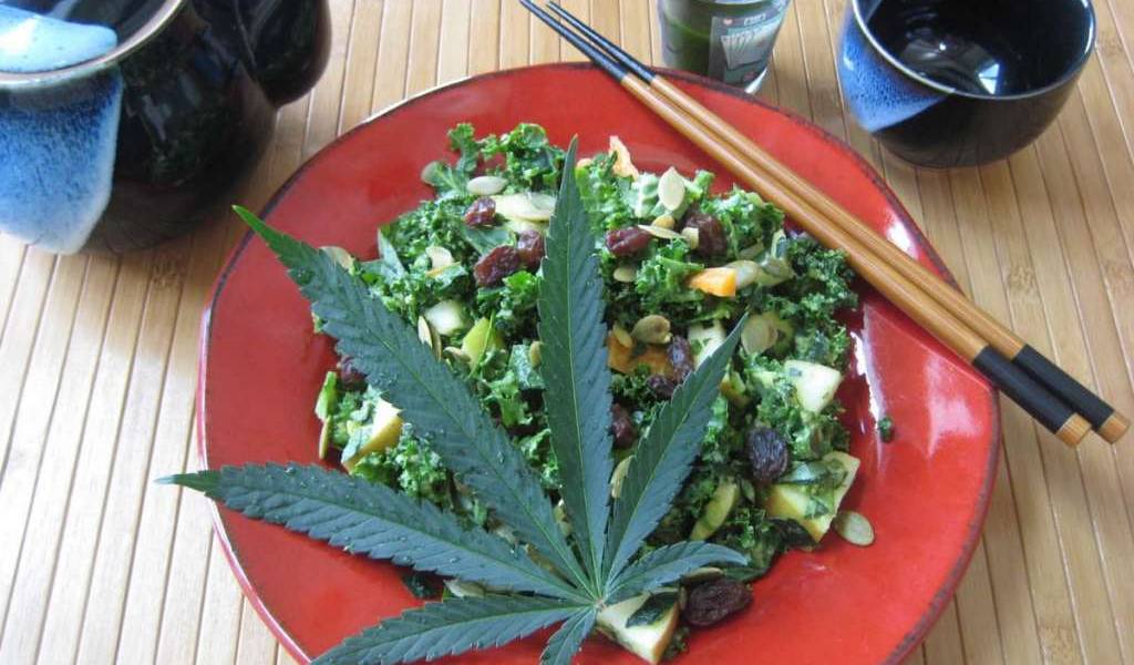 Alimentos con cannabis desde diciembre en Canadá
