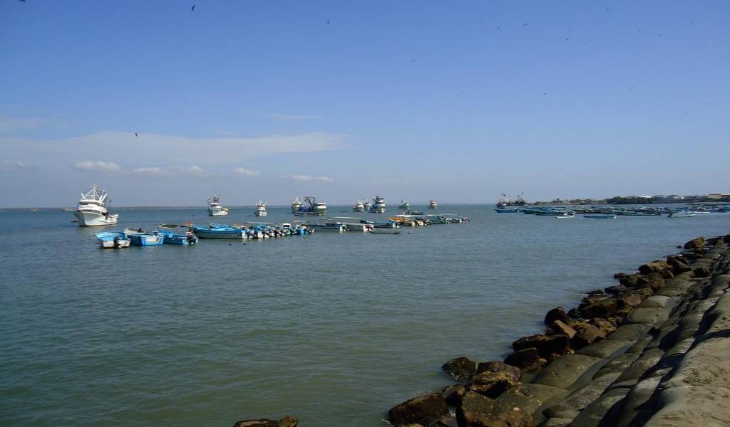 Supuestas irregularidades en contrato de Puerto de Posorja