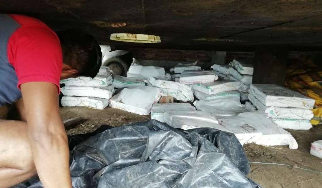 Cae red de narcotráfico durante operativo en 4 provincias