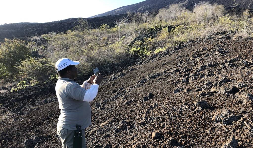 Descubren 14 nuevas especies de líquenes en las Islas Galápagos