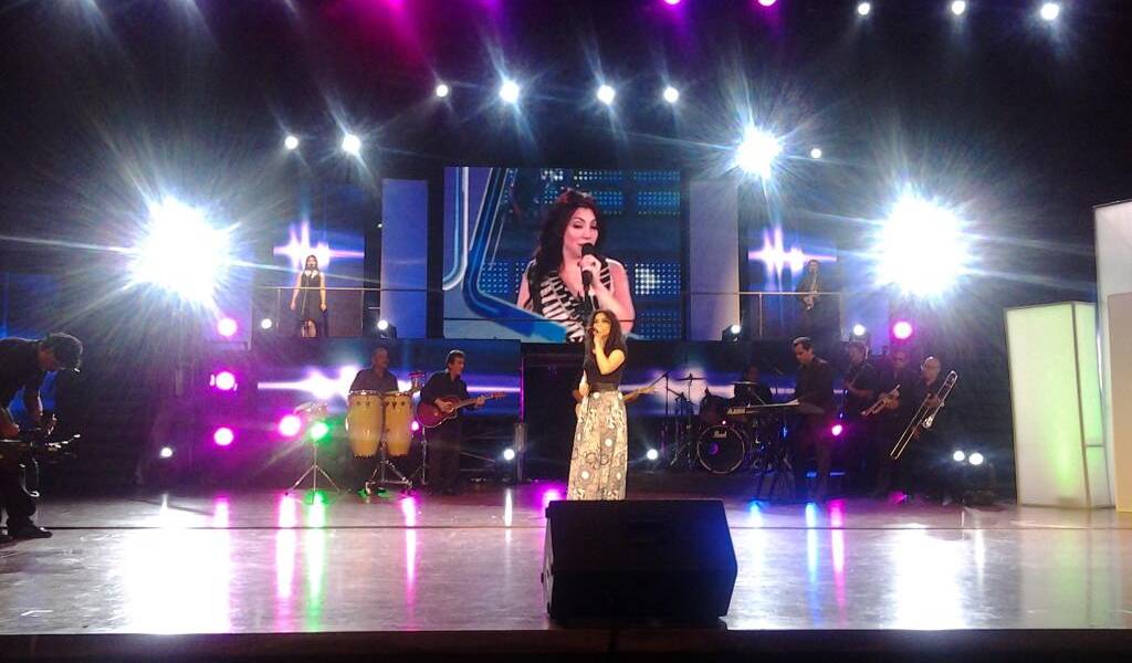 Teletón 2013 recauda hasta el momento más de medio millón de dólares