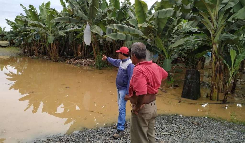 1800 personas perjudicadas por lluvias en Vinces