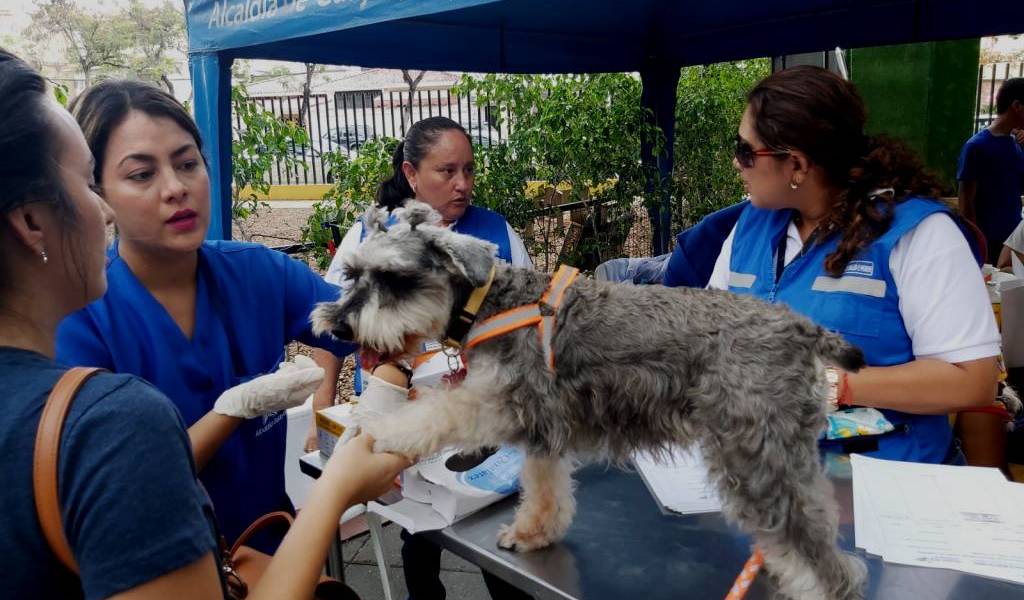 Feria para adoptar mascotas se realizará en Guayaquil