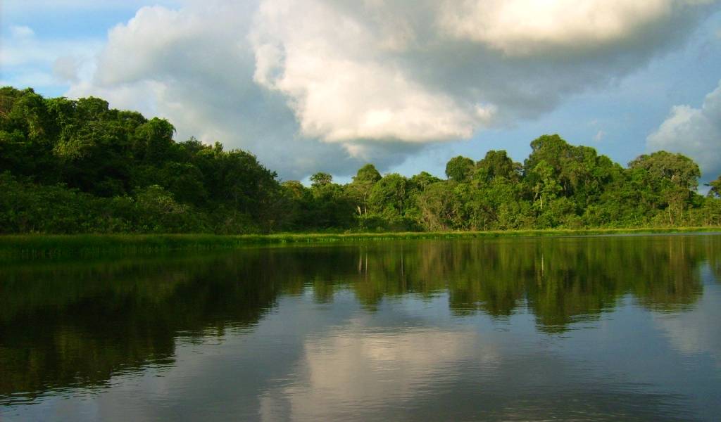 La explotación del Yasuní-ITT debe seguir un proceso señalado en la Constitución